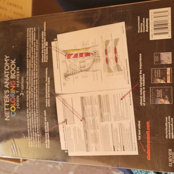 Anatomy Coloring book Netter's New - Picture 2 of 7